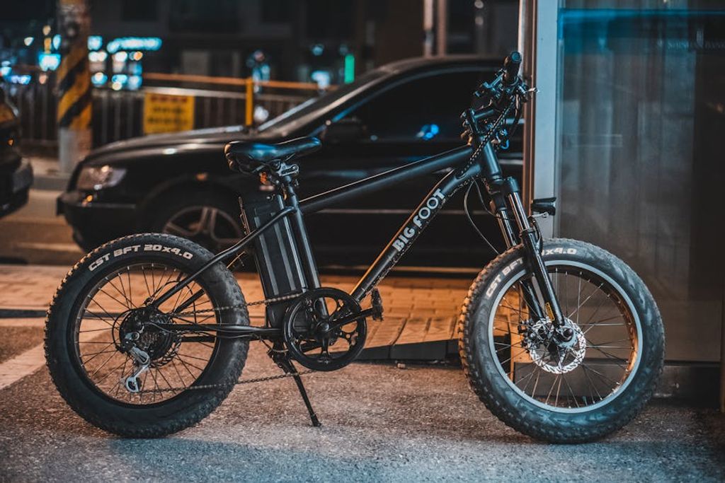 eco bike